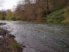 Shallow Riffle - fast - not pocket water but getting there!   