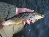And another..