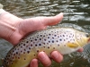 I caught it! 