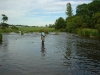 dsc01181sized.jpg