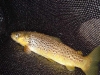 dsc01189sized.jpg
