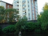 dsc01202sized.jpg