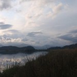 bfviews1