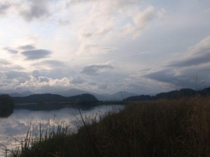 bfviews1