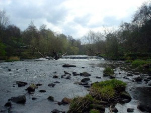 Kelvingrove Park Weir