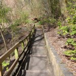 Stairway to the Kelvin