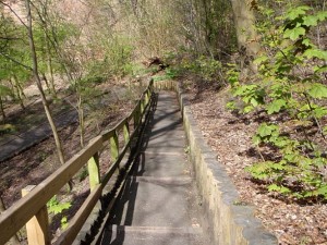 Stairway to the Kelvin
