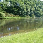 River View