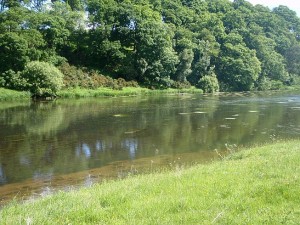 River View