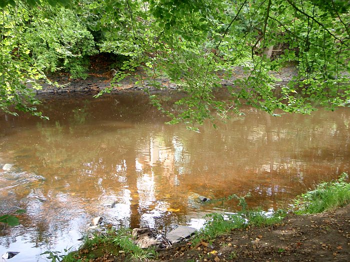 Weekly Water Photo