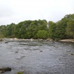 A view up the river.