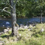 The river was like crystal - you could see every pebble..