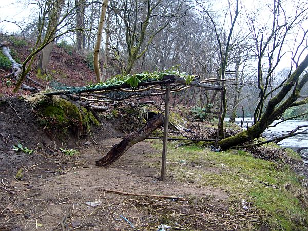 Every season these wee bothies spring up along the Kelvin, sometimes it is alcoholics and cannabis smokers getting some nature time!